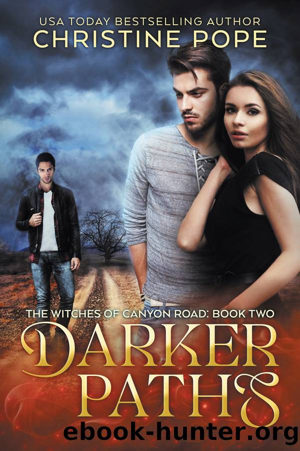 Darker Paths by Christine Pope free ebooks download